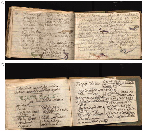 Figure 3. a and b. Harold’s notebooks.