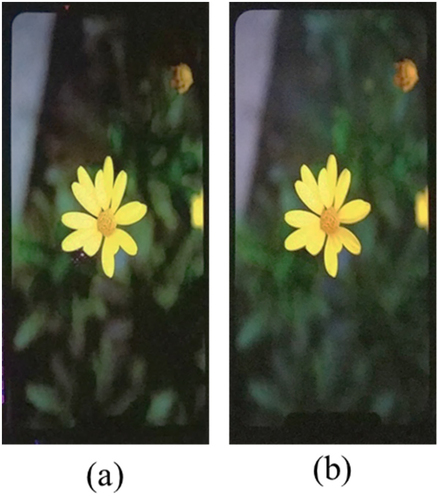 Figure 8. Improve result by minimizing of electric potential between Vinit and Vsat (a) Failure image on display panel, (b) Enhancement image on 6.47’ FHD+ AMOLED display panel by optimizing Vinit.