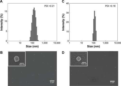 Figure 4 Particle size distribution and FE-SEM imaging of PIC (C/A ratio: 8) (A and B) and dox-loaded PIC (C/A ratio: 8) (C and D).Abbreviations: PIC, polyelectrolyte ionomer complex; C/A ratio, ratio of cationic PEI and anionic P(Asp) block; P(Asp), poly(aspartic acid); dox, doxorubicin; FE-SEM, field emission scanning electron microscopy; PDI, polydispersity index.