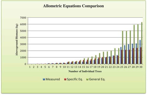 Figure 5. Allometric equation comparison for Diospyros abyssinica AGB