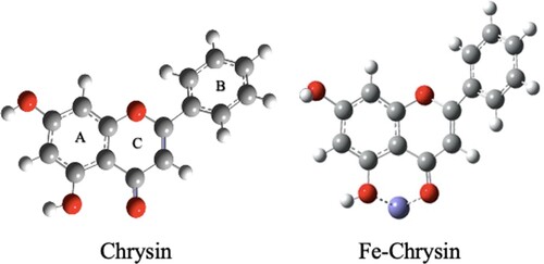 Figure 5. Optimized structures obtained from DFT calculations.