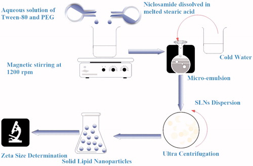 Figure 1. Schematic diagram of micro-emulsion technique for NCS-SLNs fabrication.