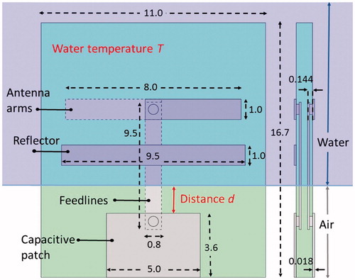 Figure 1. Antenna blueprint with distances in millimetre. Distance (d) and water temperature (T) are varied in the experiments. Distance (d) is varied by changing the distance that the antenna protrudes into the water-filled container (purple region).