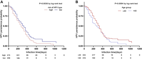 Figure 8 (A) Risk of HPV genotype-specific HPV infection persistence curves. (B) Age-specific HPV infection persistence curves.