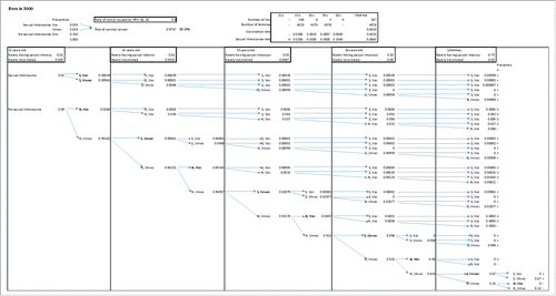 Figure 2. A sample of the risk calculation. S: having experienced sexual intercourse; N: not having experienced sexual intercourse; Vac: having received HPV vaccine; Unvac: not having received HPV vaccine.