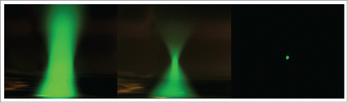 Figure 2. Distribution of fluorescein fluorescence (green) as viewed in the x-z plane, on inverted microscope, focused with 20 X objective lens 0.75NA. (A) Wide-field microscopy (WFM) mercury source and filter cube excitation. (B) Confocal scanning microcopy (CLSM), 488 nm laser excitation, and (C) two-photon (2P) excitation using femtosecond pulses of 850-nm light.