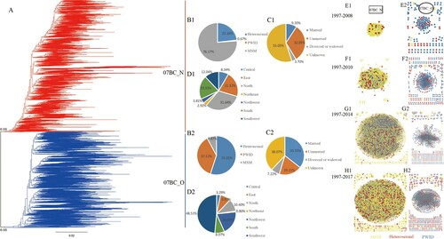 Figure 1. (Left) Maximum-likelihood phylogenetic trees of HIV-1 pol sequences from 6213 individuals (A). Red and blue lines represent study individuals of 07BC_N and 07BC_O respectively. (Middle) Distribution of individuals in two clusters among different populations. The proportion of individuals in 07BC_N among different transmission risk populations (B1), marital status populations (C1), and residential populations (D1). The proportion of individuals in 07BC_O among different transmission risk populations (B2), marital status populations (C2), residential populations (D2). (Right) Cumulative CRF07_BC transmission network from 1997 to 2008 (E1, E2), 2010 (F1, F2), 2014 (G1, G2) and 2017 (H1, H2). One node represents a sequence or an individual. An edge (link) represents the genetic distance (TN93) between connected sequences ≤ 0·007 substitutions/site. Only nodes connected with others within the network are shown. Edge lengths are optimized for visual presentation and do not represent genetic distance. The colour indicates transmission route. Square indicates 07BC_N on the left side of the image (E1, F1, G1, H1) and the circle indicates 07BC_O on the right (E2, F2, G2, H2). MSM: men who have sex with men; PWID, individuals who use injection drugs.
