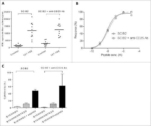 Figure 5. T cell responses induced by combining SCIB2 with Treg depletion. (A–C) Mice were immunized with SCIB2 in combination with anti-CD25 Ab. Splenocytes from immunized mice were assayed at day 20 for (A) frequency of immune responses against 10 µg/mL of NY-ESO-1 157–165 peptide. Graph shows pooled data from >3 experiments in which n = 3. (B) Normalized avidity by titration of NY-ESO-1 157–165 peptide by IFNγ Elispot assay. (C) After 6 d in vitro stimulation with NY-ESO-1 157–165 peptide, CD8+ T cells were assessed by 51Cr-release cytotoxicity assay. Data is shown at an effector to target ratio of 50:1. Data show mean and SD and are representative of at least two experiments, where n ≥ 3.