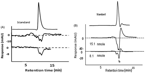 Figure 1. Examples of chromatograms generated from the vacancy chromatography for phenol as a weak inhibitor (A) and ferulic acid as a strong one (B). Strong inhibitors were found as CAIII concentration dependent.