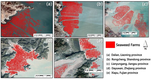 Figure 9. Remote sensing of seaweed farming areas in some typical regions of China’s coastal provinces in 2018–19.