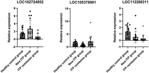 Figure 5. The expression of LOC102724852, LOC112268311, and LOC105378901 in both nITP and cr-ITP groups as well as healthy controls. The expression of LOC102724852 in nITP (2.65 ± 2.23) was significantly higher than healthy controls (1.46 ± 1.07) and cr-ITP (0.63 ± 0.82) (p < 0.05). the expression of LOC112268311 (0.52 ± 0.88) in nITP was significantly lower than healthy controls (1.37 ± 0.85) (p < 0.05). the expression of LOC105378901 (0.70 ± 0.48) in nITP was significantly lower than healthy controls (1.30 ± 0.74) and cr-ITP (2.13 ± 1.98) (p < 0.05).