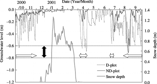 Figure 5  Snow depth (bold line) and groundwater level for a subsurface drained paddy field (D-plot, dotted line) and a non-drained paddy field (ND-plot, solid line) located in Niigata Prefecture, Japan, from October 2000 to September 2001. White arrows indicate the period when the valves of the drainage pipes in the D-plot were open. The black arrow and straight dotted lines indicate the depth of the drainage pipes.
