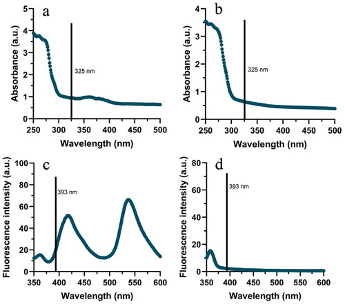 Figure 3. Spectra of compounds 2 and 7. UV-vis absorption spectra of compound 2 (a) and compound 7 (b). Fluorescence emission spectra of compound 2 (c) and compound 7 (d) at an excitation wavelength of 325 nm.