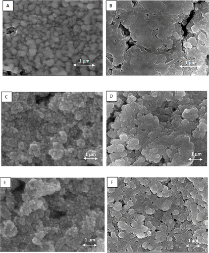 Figure 7 Examples of SEM images obtained for coatings based on Ni@Ag NPs with Ag thickness shell of 20 nm: (A) after drying (80 °C, 15 min), (B) after sintering at 300 °C; 35 nm: (C) after drying (80 °C, 15 min), (D) after sintering at 180 °C; and 45 nm: (E) after drying (80 °C, 15 min), (F) after sintering at 120 °C.