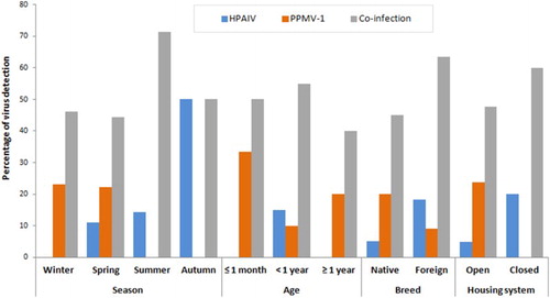 Figure 1. Detection of HPAIV, PPMV-1 and co-infection with both viruses in pigeons by season, age, breed and housing system using RT-PCR.