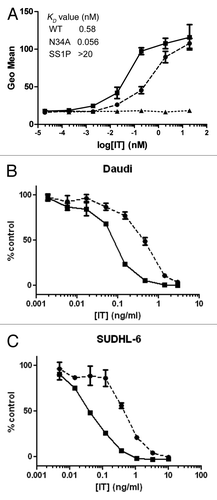 Figure 4 Characterization of N34A mutant. (A) Affinities of WT scdsFv-HA22-LR (circles and dotted line) and its N34A mutant (squares and solid line) to CD22-positive Daudi cells. Affinities were measured by FACS. Briefly, pre-fixed Daudi cells were incubated with immunotoxins at 4°C overnight. Bound immunotoxins were detected with anti-LR-PE mouse polyclonal antibodies and PE-labeled goat anti-mouse IgG. Anti-mesothelin immunotoxin SS1PCitation6 (triangles and dotted line) was used as a negative control. Mean fluorescence intensities are shown. Each assay was performed in triplicate. Data are expressed as the mean ± SD. (B) Specific cytotoxic activities of WT scdsFv-HA22-LR (circles and dotted line) and its N34A mutant (squares and solid line) on CD22-positive cells. The cytotoxicity was measured by WST-8 in triplicate at least nine times. Typical cytotoxic curves are shown. Data are expressed as the mean ± SD. We analyzed a total of 8 cell lines, and their IC50 concentrations are shown in Table 2.