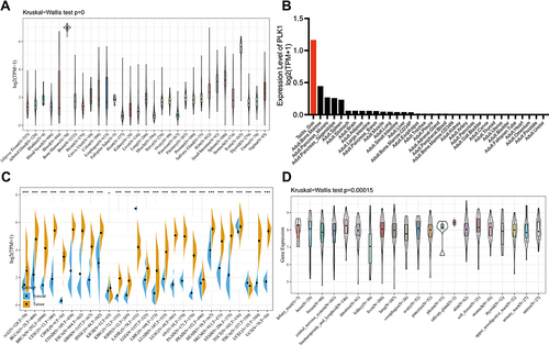 Figure 1 PLK1 expression in the human pan-cancer. (A) PLK1 expression in 31 normal human tissues. (B) Expression levels of PLK1 in HCL dataset. (C) PLK1 expression in 27 types of cancer tissues compared to normal control. (D) PLK1 expression in 21 type of tumor cells. (***P<0.001).