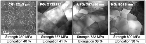 Figure 1. Light micrograph of CG stainless steel with an average grain size of 22 ± 3 μm and TEM micrographs from NG to FG. NG: nano-grained; UFG: ultrafine-grained; FG: fine-grained; CG: coarse-grained [Citation30–33]. NG had a few ultrafine grains (UFG), hence referred to as UFG/NG in Figures 2-6.