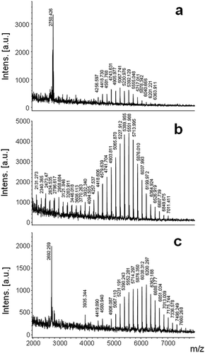 Fig. 2. MALDI mass spectra of Halamphora luciae cells under different culture media harvested at day 15. (a) f/2 (control), (b) f/2-N and (c) f/2-P. Matrix: CHCA.