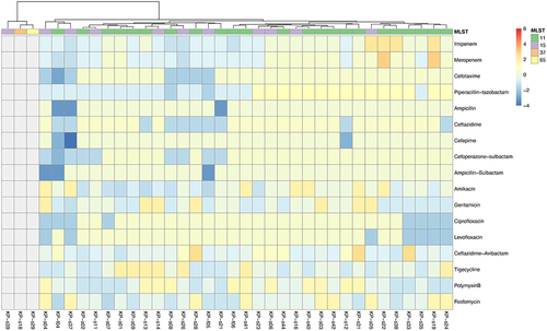 Figure 1 Drug susceptibility heat map of 33 KPC-producing Klebsiella pneumoniae. The minimum inhibitory concentrations (MICs) of 33 KPC-producing Klebsiella pneumoniae strains were homogenized against 17 antibiotics, and the colors in the legend indicate the change in susceptibility of the strains to the antibiotics,kP-s18, KP-s29 and KP-s39 without carbapenemase resistance genes were indicated in gray.