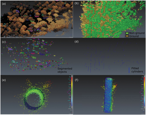 Figure 9. (a) a sample HMLS point cloud; (b) Detection of ground points; (c) segmented objects; (d) the output of cylinder fitting process; (e) and (f) Cylinder fitted to a single stem using least squares.