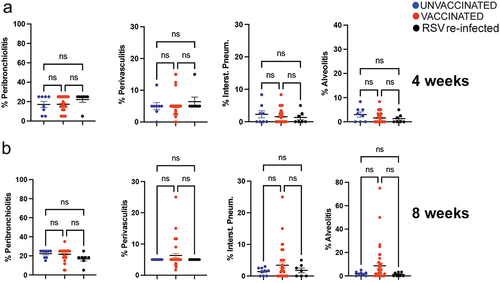 Figure 8. Quantification of four lung histological parameters in the second pregnancy litter from dams unvaccinated or vaccinated during the first pregnancy. Peribronchiolitis, perivasculitis, interstitial pneumonia, and alveolitis were scored blindly on H&E-stained lung slides from pups challenged with RSV and sacrificed on day 4 p.i. Each symbol represents a mean pathology score for each litter. Offspring of the second pregnancy were challenged with RSV i.n. at 4 (top) or 8 (bottom) weeks of age. Significance of differences between the groups was evaluated by one-way ANOVA followed by Tukey post hoc test.