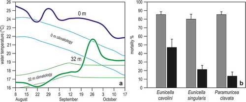 Figure 7. The heatwave of summer 1999 and gorgonian mortality in the Ligurian Sea. (a) Trend in sea water temperature at 0 m and 32 m depth, between August and October. Lines are weekly averages, bands the confidence limits (± 95%) obtained from the secular (1909–1987) trend calculated on Ligurian Sea records. (b) Percentage of partially (grey) and totally (black) dead colonies in three common gorgonian species. Redrawn and modified from Cerrano et al. (Citation2000).