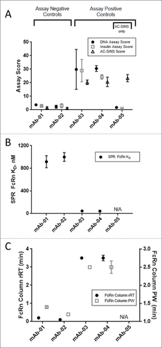 Figure 1. In vitro score range for assay controls. Assay negative control mAbs (mAb-01 and mAb-02) and positive control mAbs (mAb-03 and mAb-04) were tested in multiple replicates in the A) DNA binding assay (•), insulin binding assay (□), and AC-SINS assay (∆); B) hFcRn SPR assay (•); and C) immobilized hFcRn affinity column chromatography assay measuring relative retention time (rRT; •) and peak width (PW; □). Assay positive control mAb-05 (AC-SINS only) represents a distinct class of mAbs having high AC-SINS and low DNA and insulin scores. Error bars represent standard deviation.