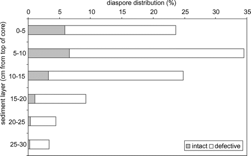 Figure 4. Average distribution of the intact and the defective diaspores (%) of the investigated sediment layers per homogenized sediment weight and summarized for the eight analyzed sites.