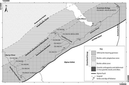 Figure 2 Simplified geological map of the Jackson River valley area showing the broad distribution of metamorphic facies, as well as samples referred to in the text. The positions of the biotite–calcic plagioclase and biotite–albite zone isograds are taken from Mortimer et al. (Citation2013).