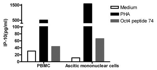 Figure 5. Immunity to OCT4 in ovarian cancer patients. Peripheral blood mononuclear cells (PBMCs) and ascitic fluid-derived mononuclear cells from the same patient were cultured in the presence or in the absence of an immunoreactive OCT4-derived peptide for 48 h, followed by the quantification of interferon γ (IFNγ)-inducible protein 10 (IP-10) secretion in co-culture supernatants. Phytohemagglutinin PHA-stimulated cells were used as a positive control. Results from one representative patients are shown.