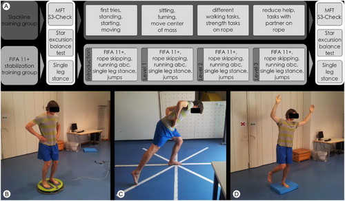 Figure 1. Schematic of the study design with the pre- and post-tests in the white boxes and the two experimental groups in grey-shaded boxes (a); Pre- and post-tests to assess balance and neuromuscular control: MFT-‌S3-‌Check ‌(b‌)‌; star excursion balance test (c); Closed-eye, single-leg stance on a balance pad (d).