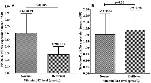 Figure 3 Comparison of mRNA expression of (A) FNDC-5 in T2DM patients with normal and deficient Vitamin B12. (B) Selectin-E in T2DM patients with normal and deficient serum Vitamin B12 level.