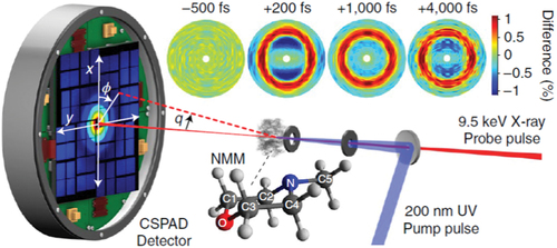 Figure 11. Schematic of a gas-phase ultrafast X-ray scattering experiment on N-methylmorpholine (NMM). The molecules interact with the UV-pump pulse and the hard-X-ray probe pulse in a windowless gas cell inside a vacuum chamber, and the time-resolved scattering images are recorded with a large-area X-ray imaging detector. The insets show difference images of the scattering patterns at several time delays. Figure taken from ([Citation136]).