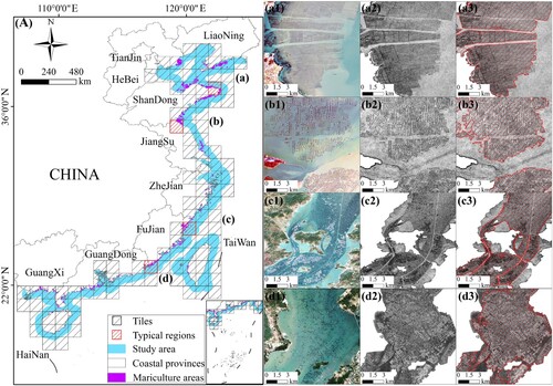 Figure 6. Spatial distribution of tiles with a size of 1 degree in latitude and longitude and the final mariculture distribution map of China (A). (a1-a3) The optical image, edge probability feature map, and extraction results of coastal zones in Shandong Province; (b1-b3) optical image, edge probability feature map, and extraction results of coastal zones in Jiangsu Province; (c1-c3) optical image, edge probability feature map, and extraction results of coastal zones in Fujian Province; and (d1-d3) optical image, edge probability feature map, and extraction results of coastal zones in Guangdong Province.