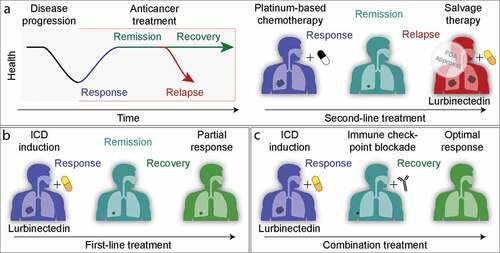 Figure 1. Clinical development of lurbinectedin for the treatment of small-cell lung carcinoma. a. Current FDA-approved use of lurbinectedin, as a salvage therapy after failure of platinum compound-based chemotherapy. b. Hypothetical use of lurbinectedin as a first-line treatment. c. Hypothetical combination of lurbinectedin used in first or second line with PD-1/PD-L1-blocking antibodies.