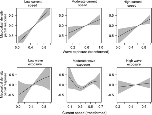 Figure 2. Partial response curves (with 95% confidence interval) showing the density of epiphytic macroalgae on kelp (Laminaria hyperborea) stipes against wave exposure at low, moderate and high maximum current speed levels (upper panel) and against maximum current speed at low, moderate and high wave exposure index levels (lower panel). Predictor variables were transformed to zero skewness at a 0–1 scale in order to achieve normally distributed residuals.