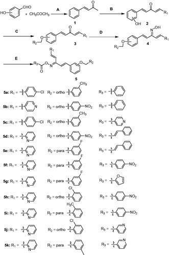 Scheme 1. Synthesis of title compounds 5a–5k.