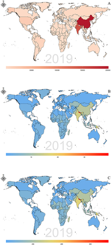 Figure 2 Global distribution of chronic obstructive pulmonary disease attributable to occupational particulate matter, gases, and fumes burden in terms of deaths (A), ASMR (B) and ASDR (C) in 2019.