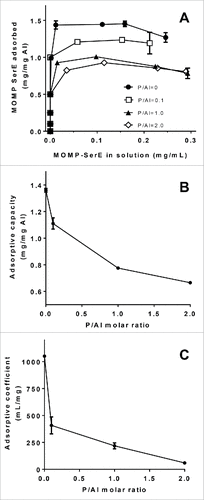 Figure 3. Effect of phosphate substitution of SPA08 on Ser E rMOMP adsorption isotherms. (A) Langmuir adsorption isotherms of Ser E rMOMP on SPA08 with increasing P/Al ratio were obtained at 25°C and pH 7.4. (B) The adsorptive capacity and (C) adsorptive coefficient values were calculated from the linearized form of the Langmuir equation and plotted as a function of P/Al molar ratio. Error bars represent the standard deviation from the mean (n = 2).