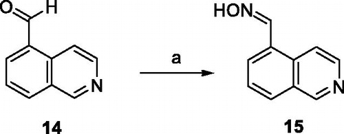 Scheme 1. Preparation of aldoxime 15. Reagents and conditions: (a) NH2OH, EtOH, 24 h, rt, 70%.
