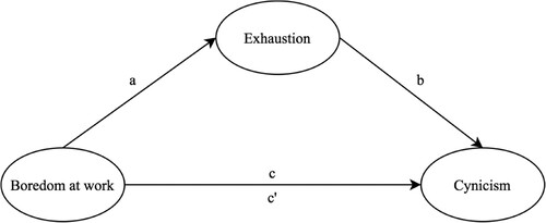 Figure 3. Mediation model between boredom at work, exhaustion and cynicism.