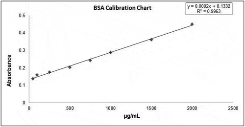 Figure 4. BSA calibration chart for protein analysis