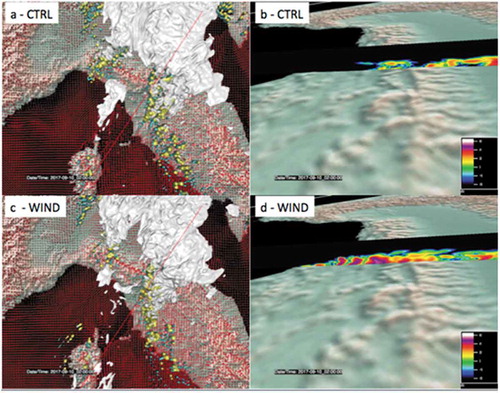 Figure 7. 3D simulated structure composed by rainwater (cyan), graupel (yellow) and snow (grey) microphysics species respectively for the CTRL run (a) and the run with the assimilation of the wind field (c); the horizontal 10m wind intensity represented by red vectors. The red line in panels a and c indicates the location of the vertical section of the two structures to investigate the reflectivity values in the middle of the observed convective structure reported in panels b (for CTRL) and d (for WIND)