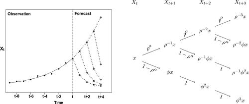 Fig. 3 Illustration of the likely future paths of a bubble generated by a MAR(1,1) process with regularly varying errors as in (4.3). Left panel: trajectorial interpretation with the past observed path in full points, the explosive exponential trend in solid line, and projected likely future paths in dotted lines and circles (graph drawn using ρ=0.8 and ϕ=0.4. Other positive values of ϕ only change the speed of the decay after the peak. Note however that values ϕ<0 are formally allowed by our framework, but would result in differently shaped collapses featuring oscillations). Right panel: probability tree interpretation of the projected future paths with outcomes at the origins and ends of arrows, and probabilities next to the arrows.