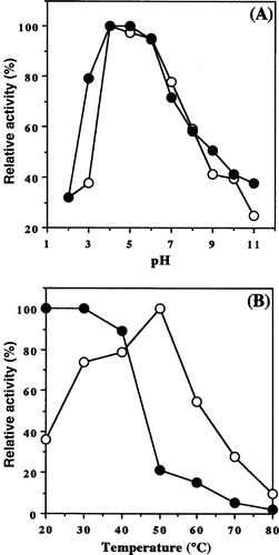 Figure 2 Optimum pH and temperature on activity and stability of α-amylase from honeydew honey. (A) For each pH, activity was assayed as described under “Materials and Methods” and expressed as relative activity (○). The pH stability curve (•) represents the residual activity after a preincubation period of 1 day at the indicated pH. (B) Enzyme activity was assayed for each temperature (○). Thermal stability of the enzyme was incubated at different temperatures at pH 6.0 for 60 min. After cooling, the residual activity was measured (•)