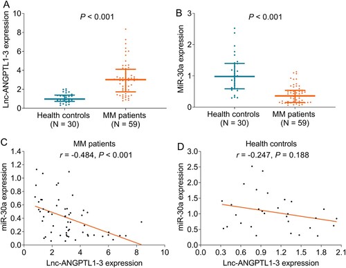 Figure 1. Lnc-ANGPTL1-3 and miR-30a expressions in MM patients and healthy donors. The comparison of lnc-ANGPTL1-3 expression (A) and miR-30a expression (B) between MM patients and healthy donors and the correlation between lnc-ANGPTL1-3 expression and miR-30a expression in MM patients (C) and health donors (D).