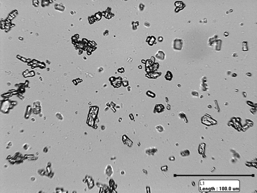 FIG. 4 Photomicrograph of phenytoin particles in alginate suspension.