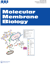 Cover image for Molecular Membrane Biology, Volume 33, Issue 6-8, 2016