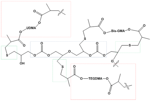 Figure 5. Schematic representation of the polymer obtained by photopolymerization of the formulations of dimethacrylates monomers with SOC DITHIOL.